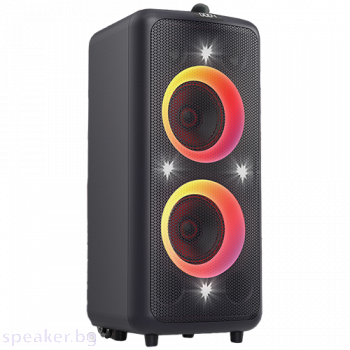 Тонколони Multimedia Speakers F&D PA300