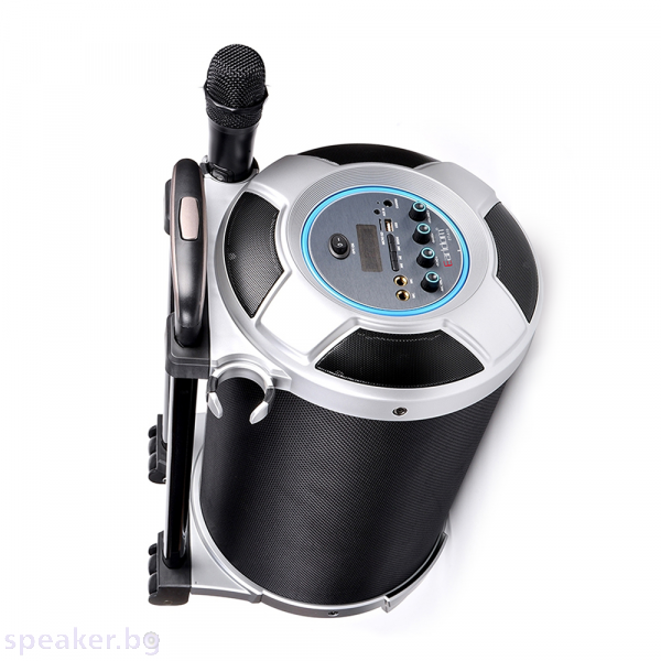 Тонколона Earldom ET-A18, Караоке, Bluetooth, USB, FM, AUX, Черен 